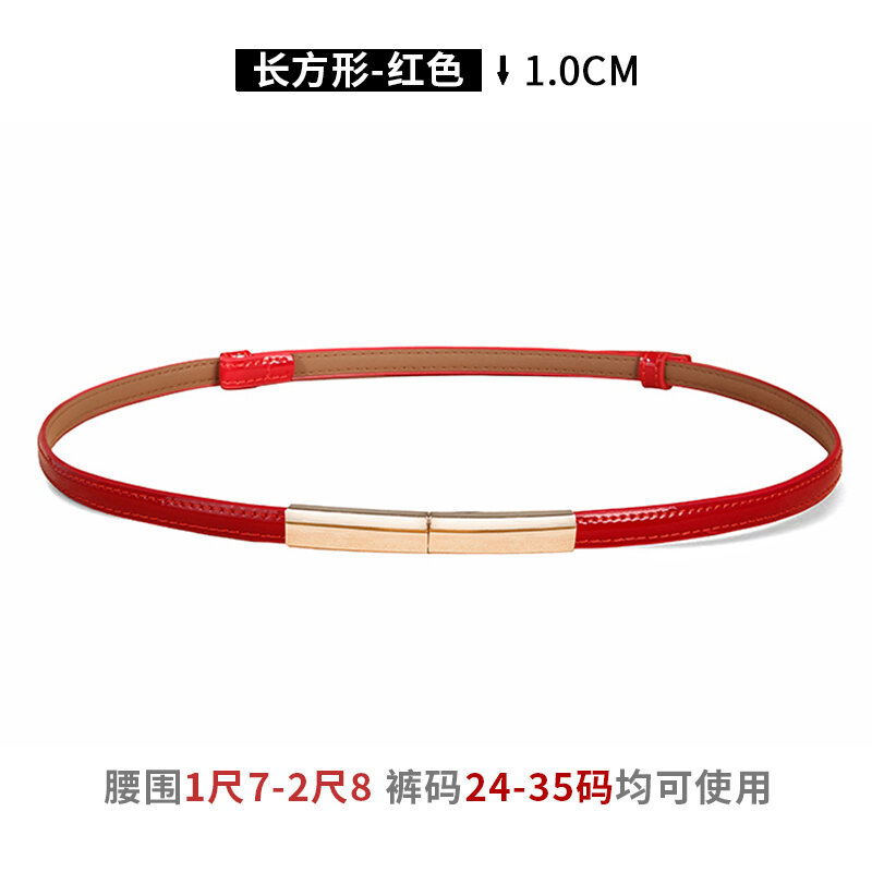 Thắt lưng nhỏ thắt lưng thắt lưng thắt lưng thắt eo trang trí mùa thu đông mẫu mới 2023 cho nữ phối váy liền âu phục thắt lưng cảm giác cao cấp