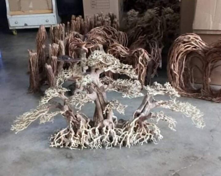 Cây gỗ lũa Bonsai 3 thân