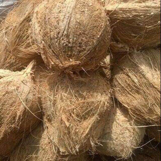 Dừa khô trái dưới 1kg