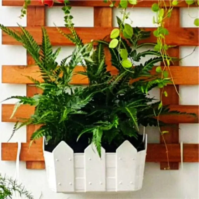chậu ốp tường hàng rào dài 25cm