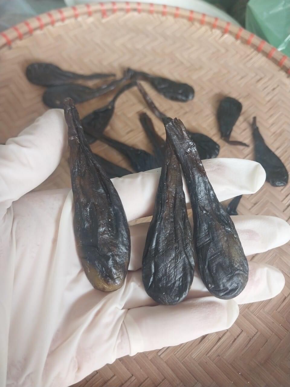 Mật kì đà