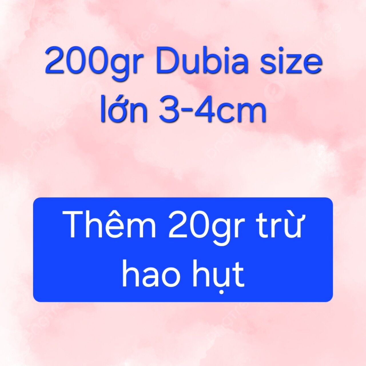 (MUA 2 SP >TẶNG 1 SP) 200gr gián dubia size 3-4cm. Thêm 20gr trừ hao hụt