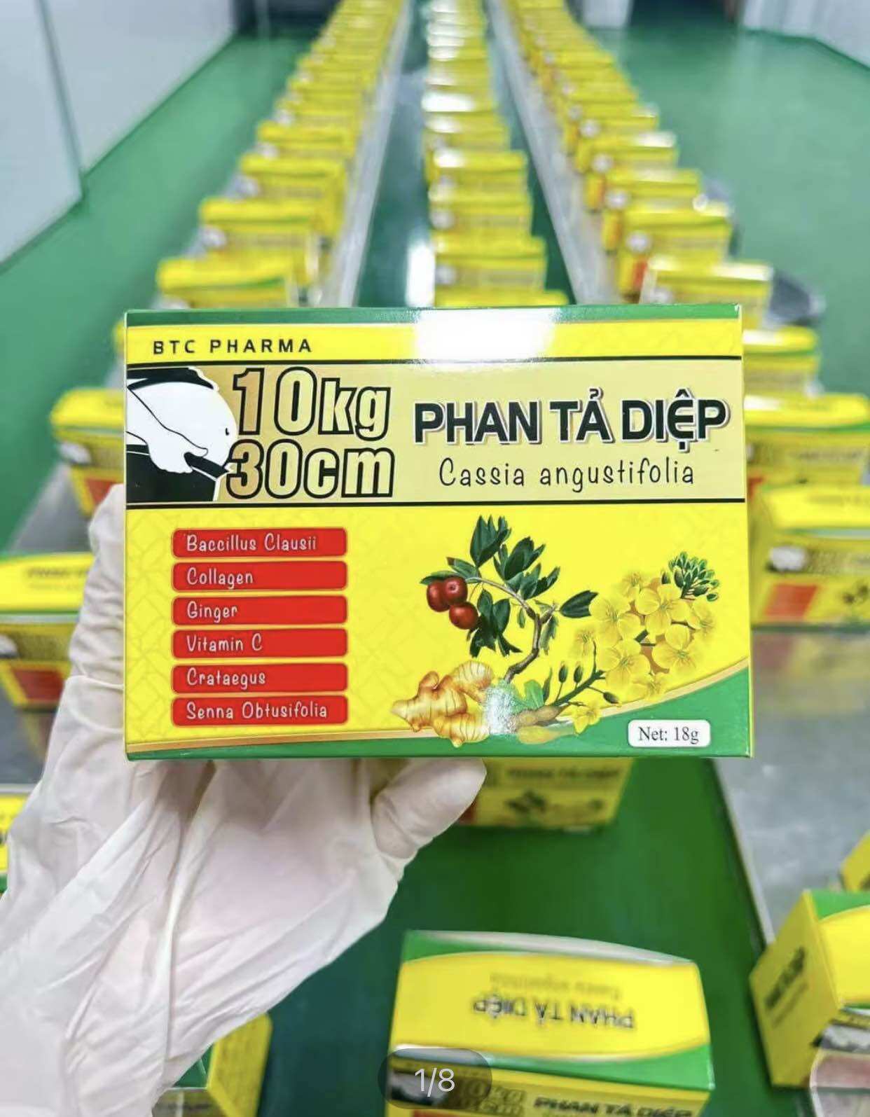 Giảm cân xổ mỡ phan tả diệp