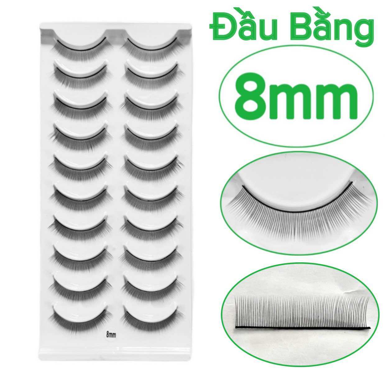 Mi tập nối 5 cặp và 10 cặp