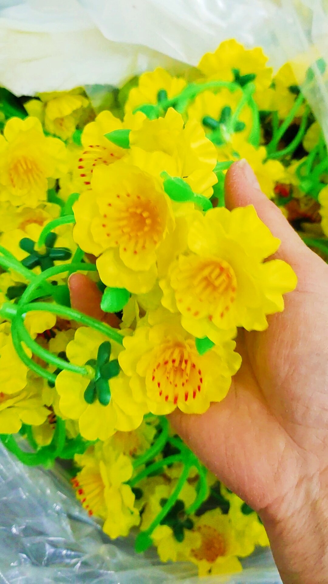1Túi Hoa mai vàng trang trí tết