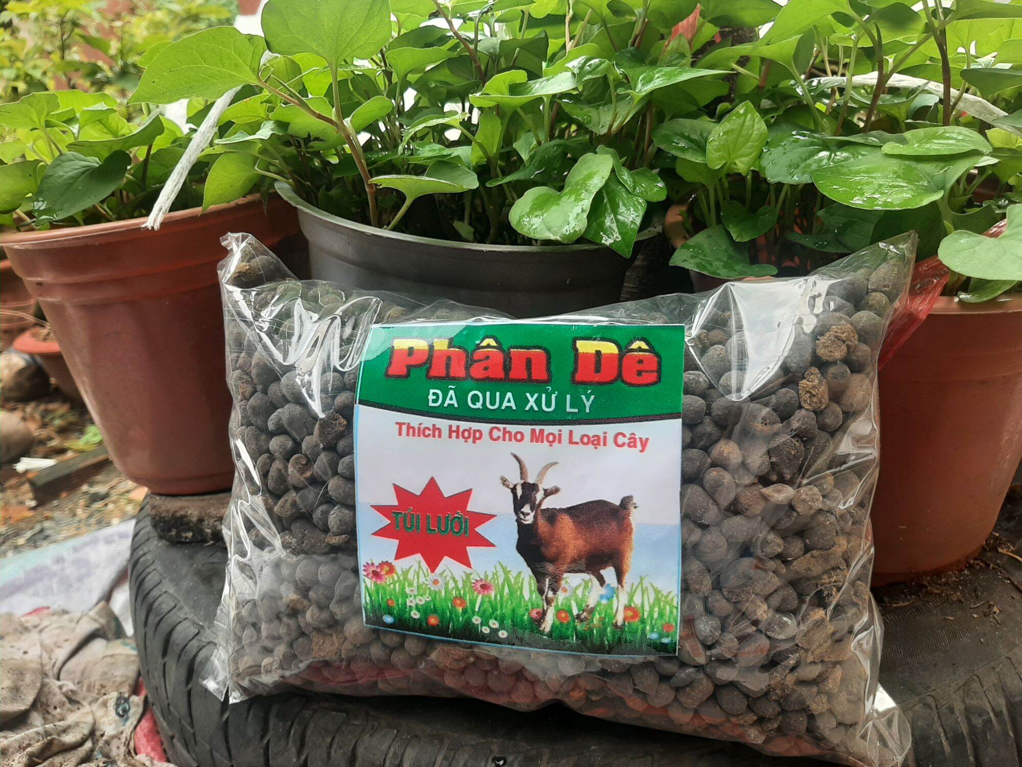 Phân Dê Đã qua xử lí loại nửa kí