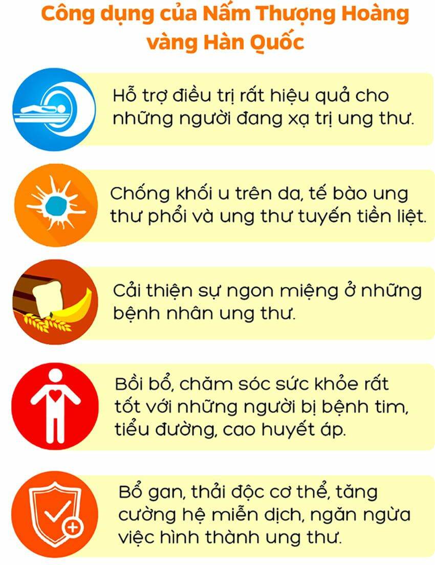 nấm thượng hoàng hàn quốc (hộp quà 0,5kg)