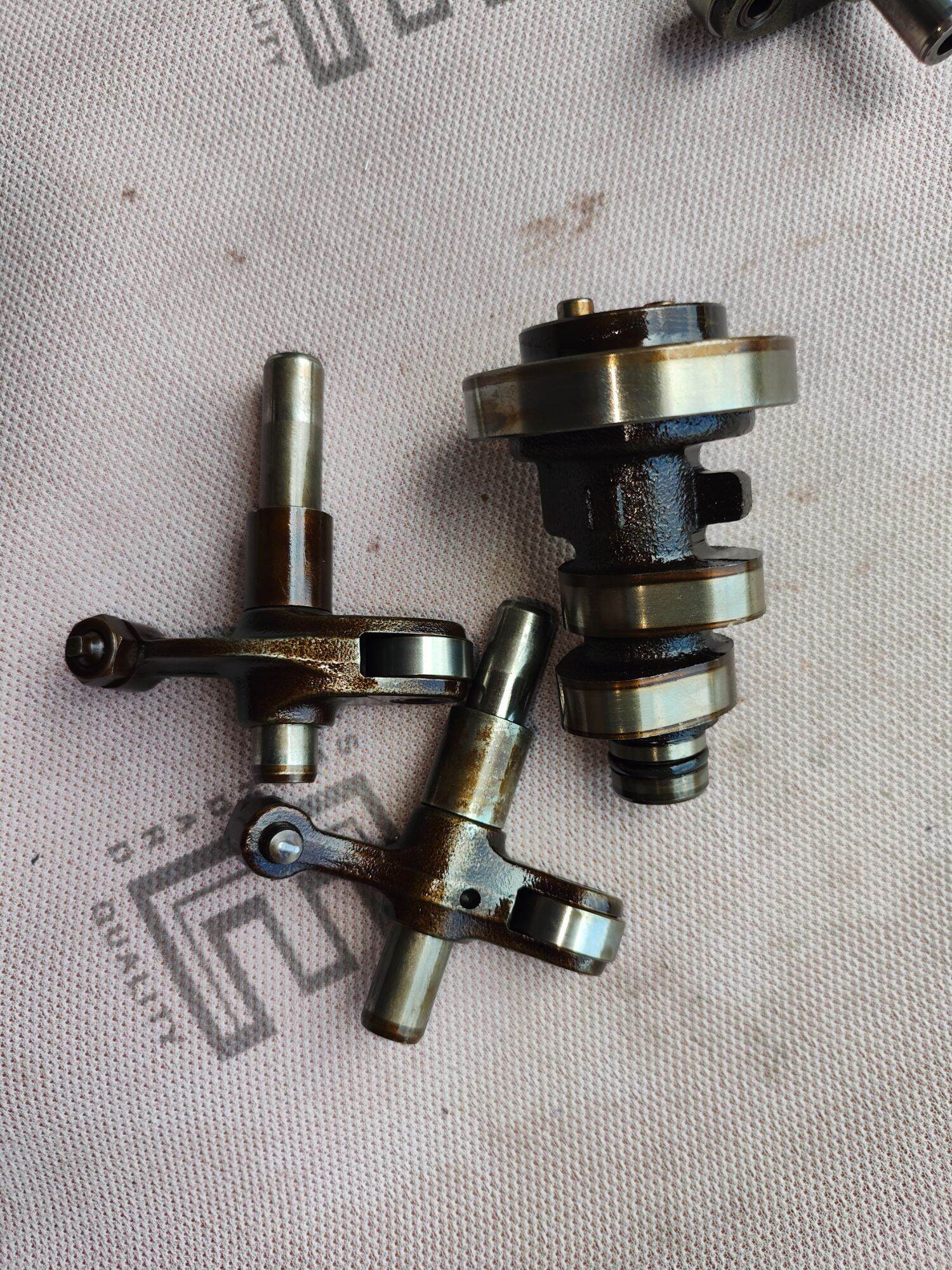 cam cò novo LX
