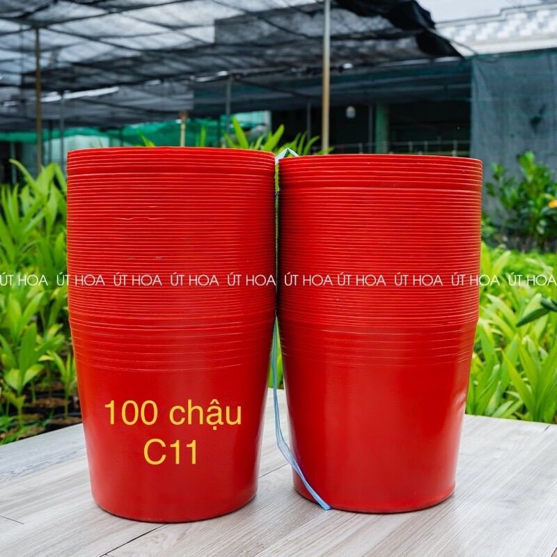 100 chậu c11/ c11a đỏ trồng hoa tết nhiều cây