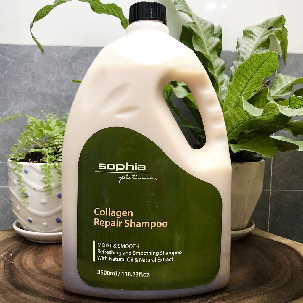 Dầu gội dưỡng phục hồi tóc sophia collagen shampoo 3500ml