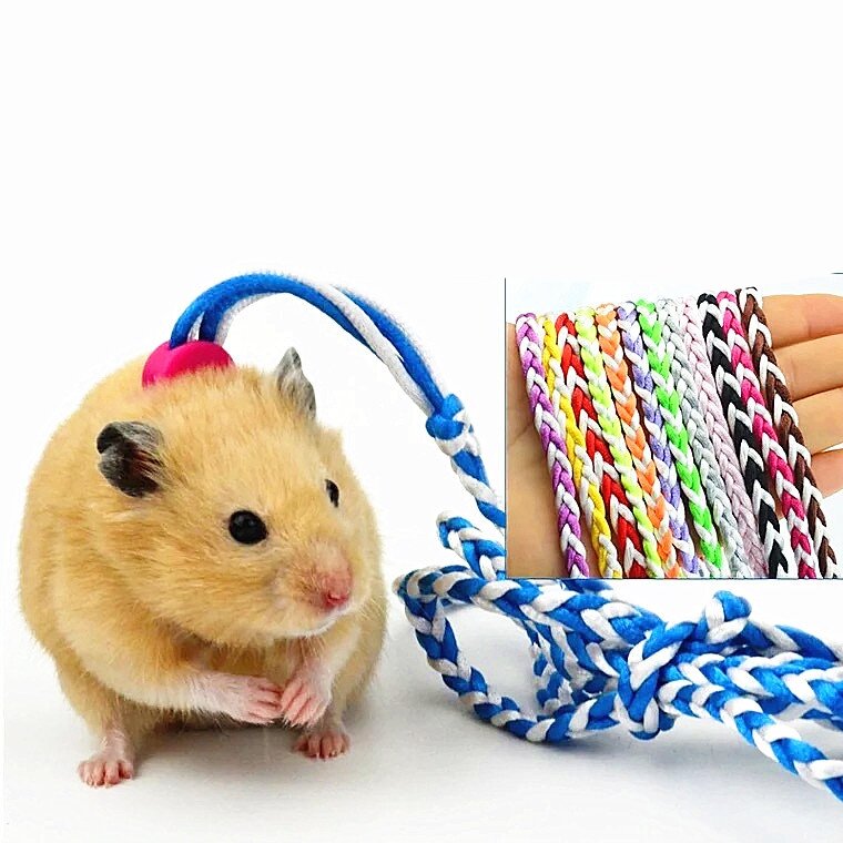Dây dắt thú cưng nhỏ - Hamster, bọ thỏ