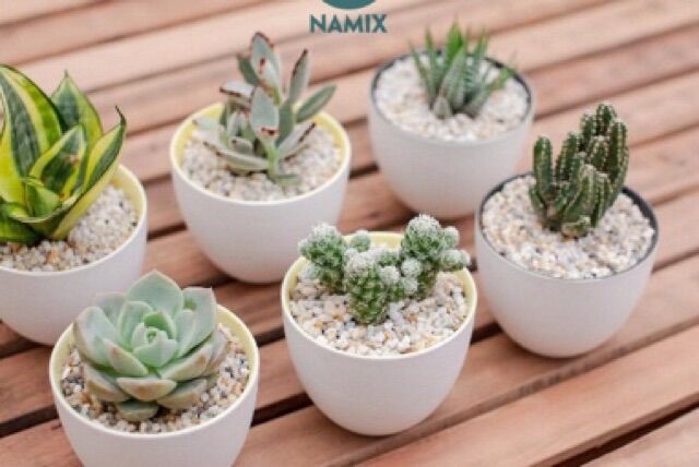 Đá Sỏi Trắng Trang Trí Bể Cá, Chậu Cây