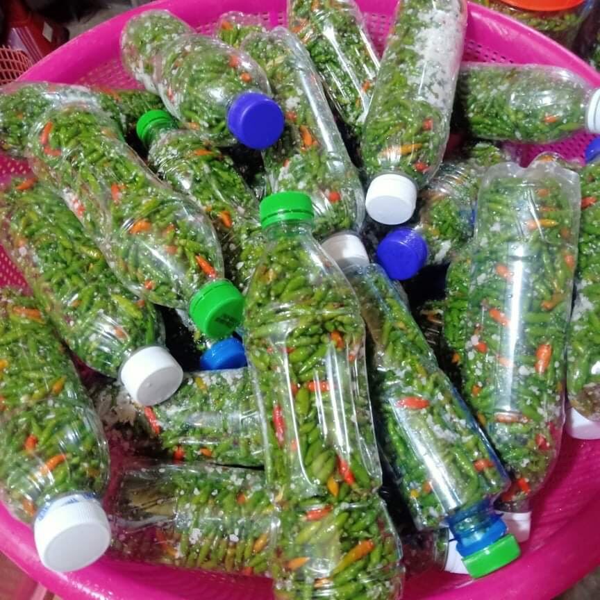 Ớt thóc sóc muối