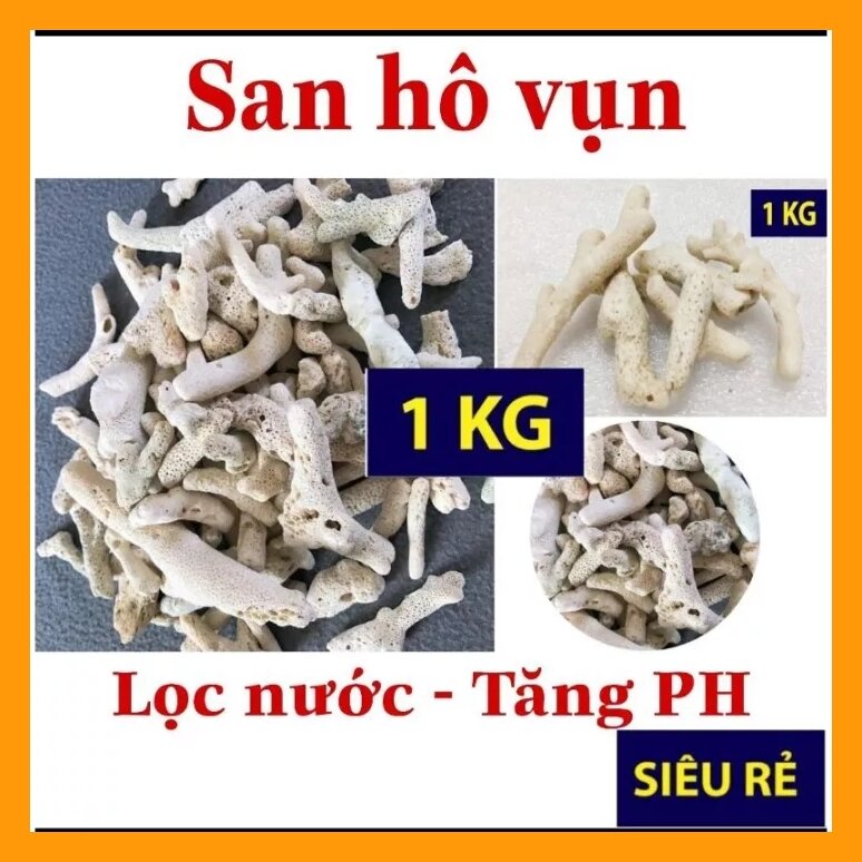 San hô vụn trang trí hồ cá 1kg giúp tăng PH