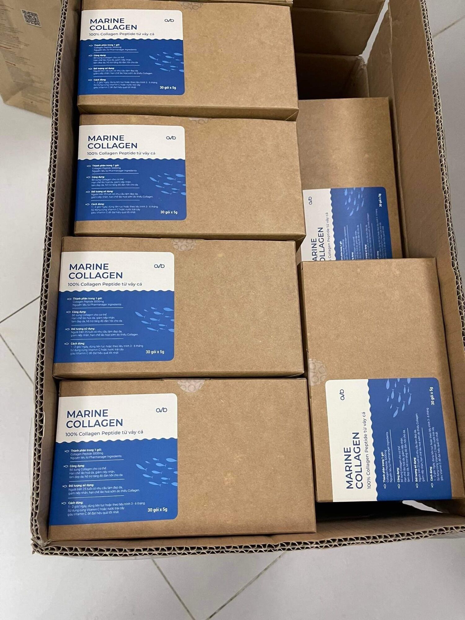 Marine Collagen - 100% Collagen Từ Vảy Cá Hồi