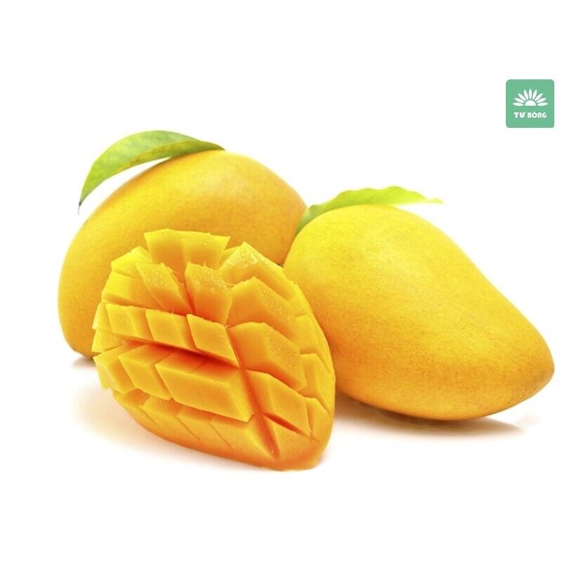 BỊCH 200GR BÁNH XOÀI DẺO NHA TRANG