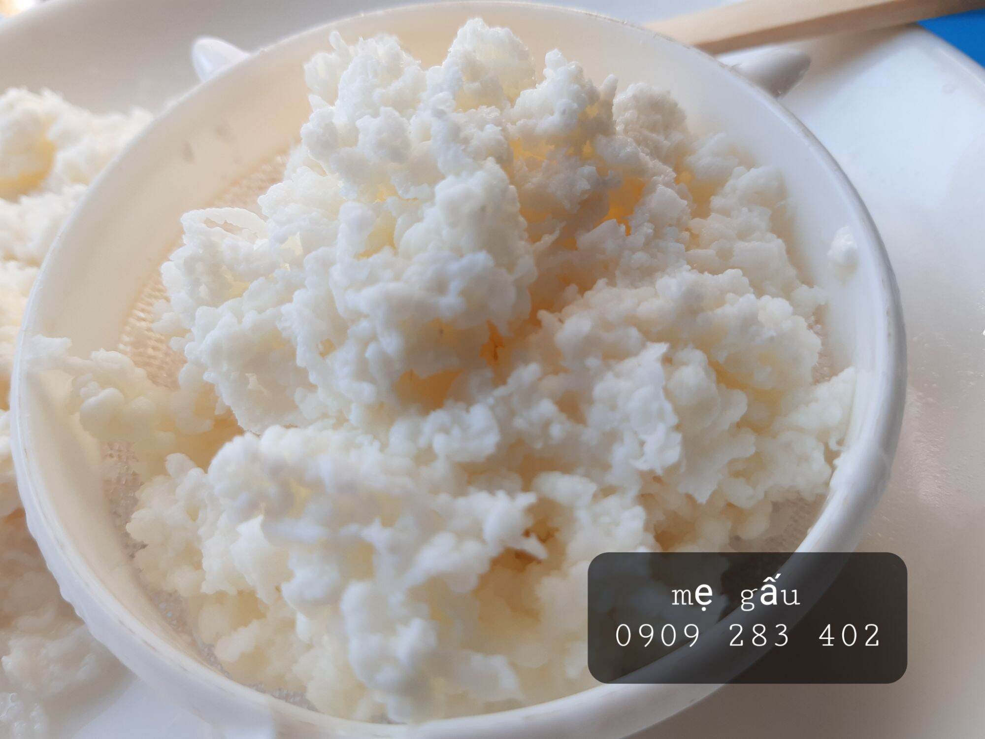 set gồm ( 1 phần nấm sữa kefir và 1 rây lọc nhựa)