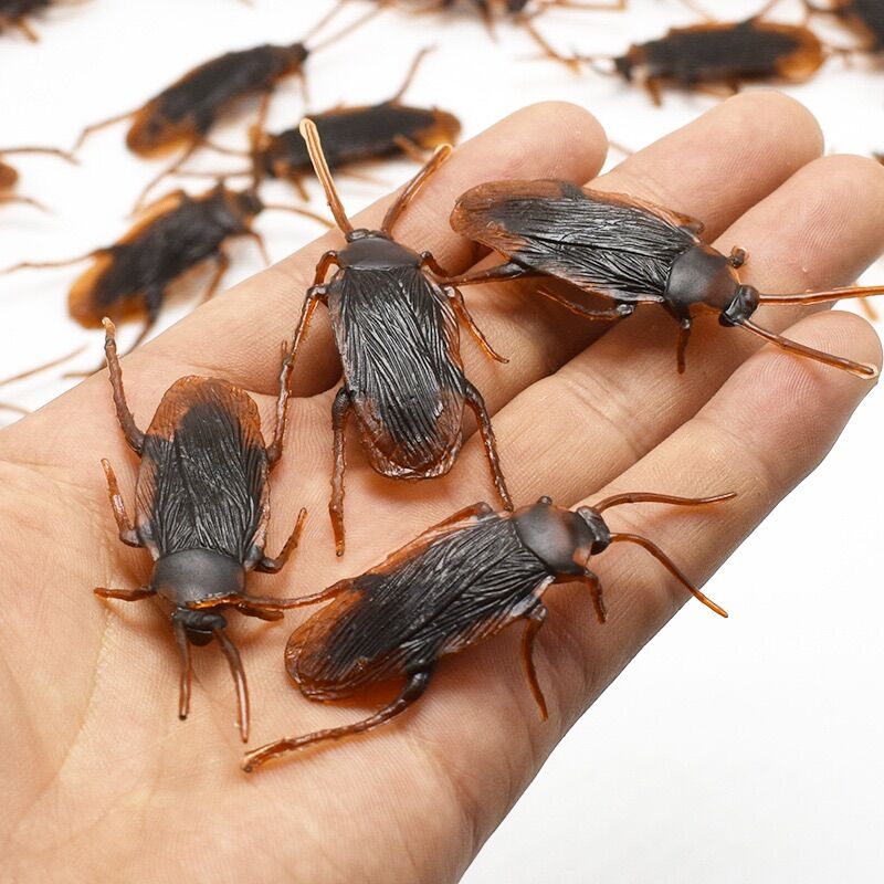 Con gián giả, con rết giả đồ chơi như thật