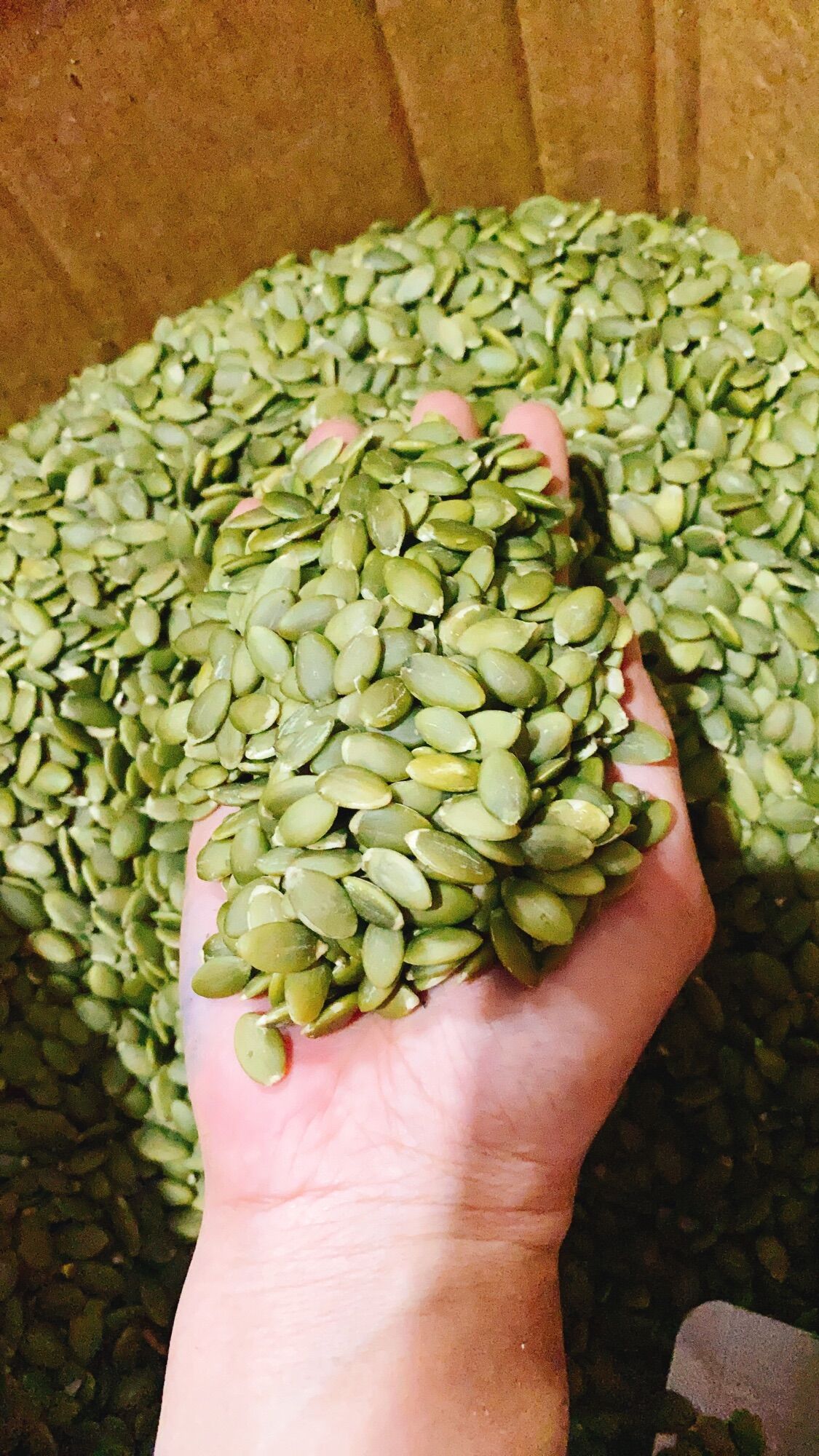 500G Nhân bí sấy chín