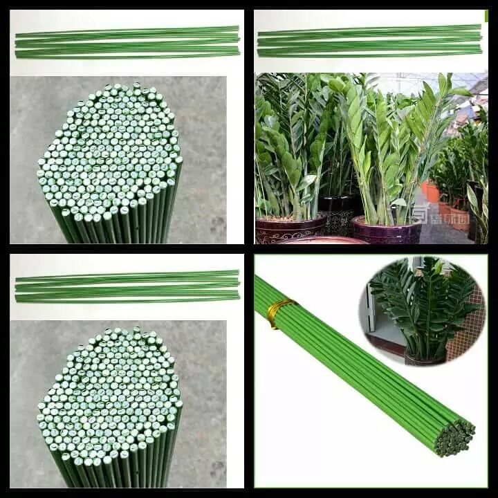 que cắm hoa lan
