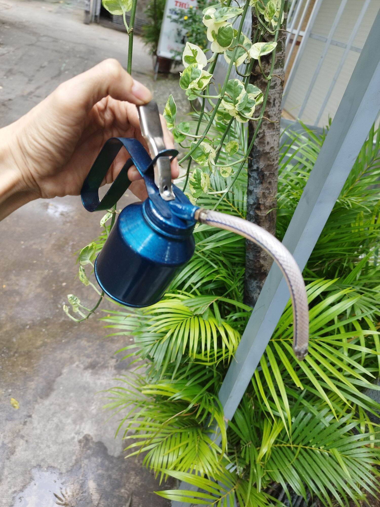 bình châm nhớt sắt