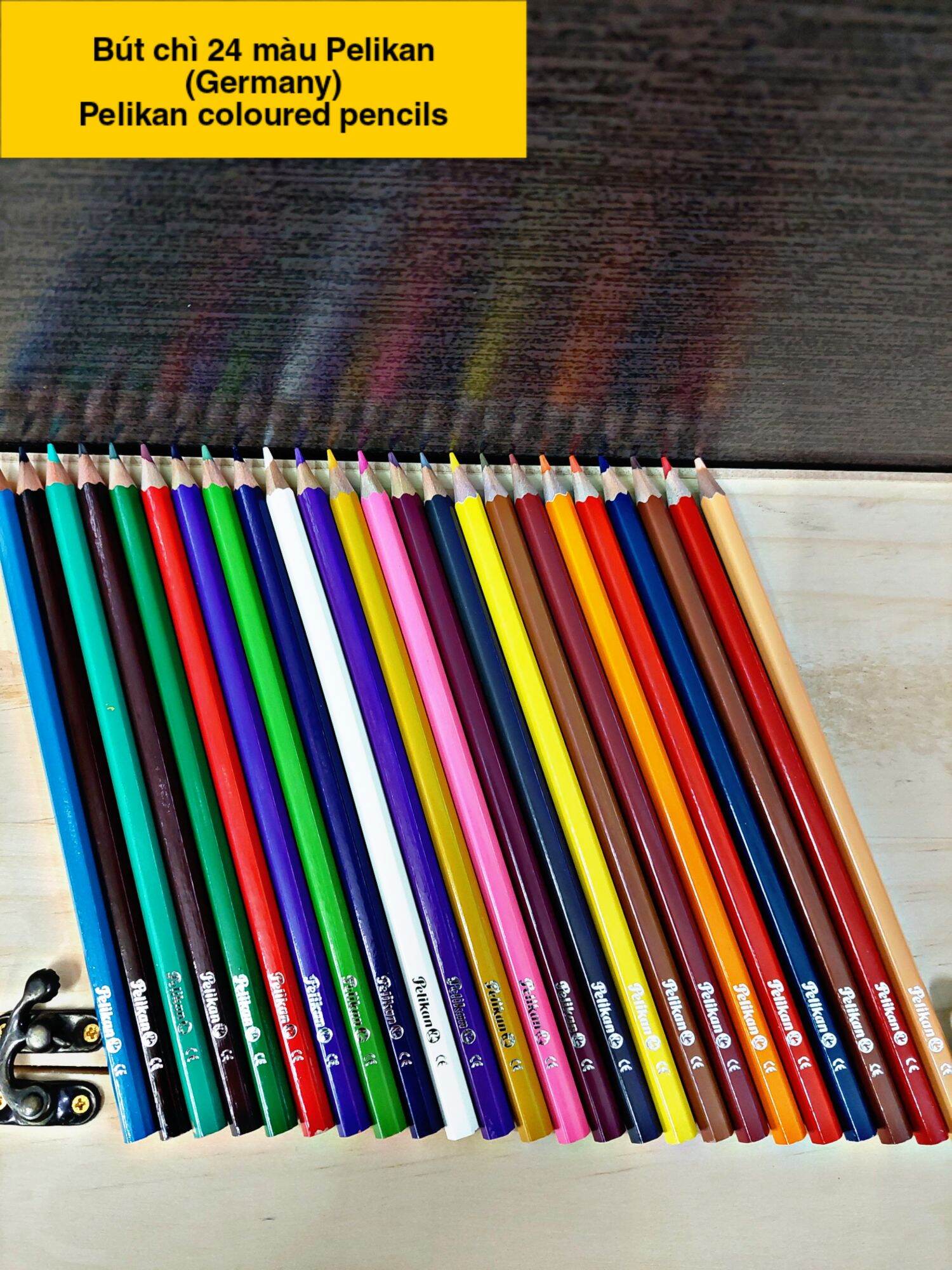 Bút chì màu Pelikan , 24 màu cao cấp.