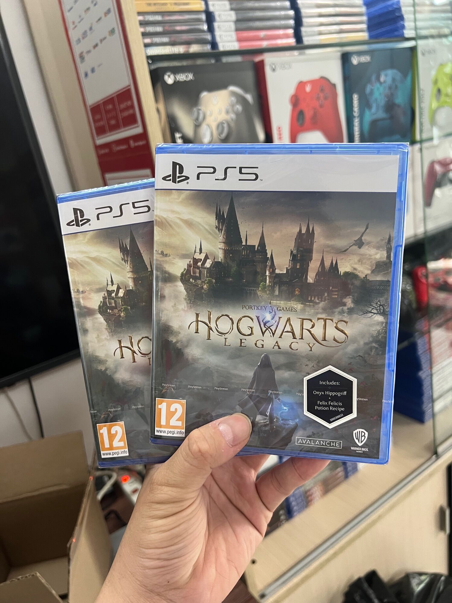 Đĩa chơi game PS4/ PS5: Hogwarts Legacy