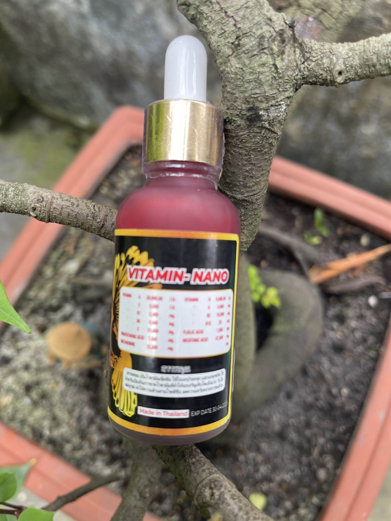 Vitamin nano