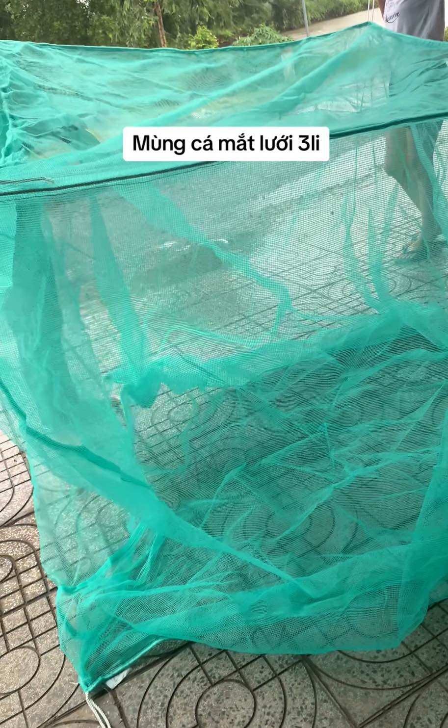 Vèo, tráng, mùng nuôi cá, ếch... có nắp đậy , , ,,,