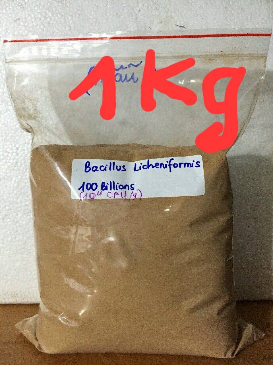Bacillus Licheniformis 10x10^11 cfu/g nguyên liệu. 1kg/túi. Thái lan