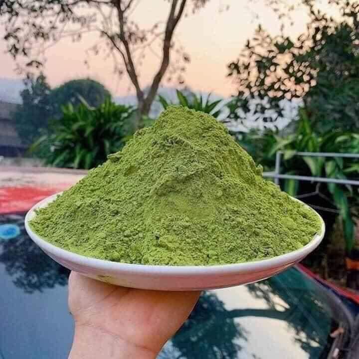 Bột thạch lá găng rừng ( sương sâm ) 500gr