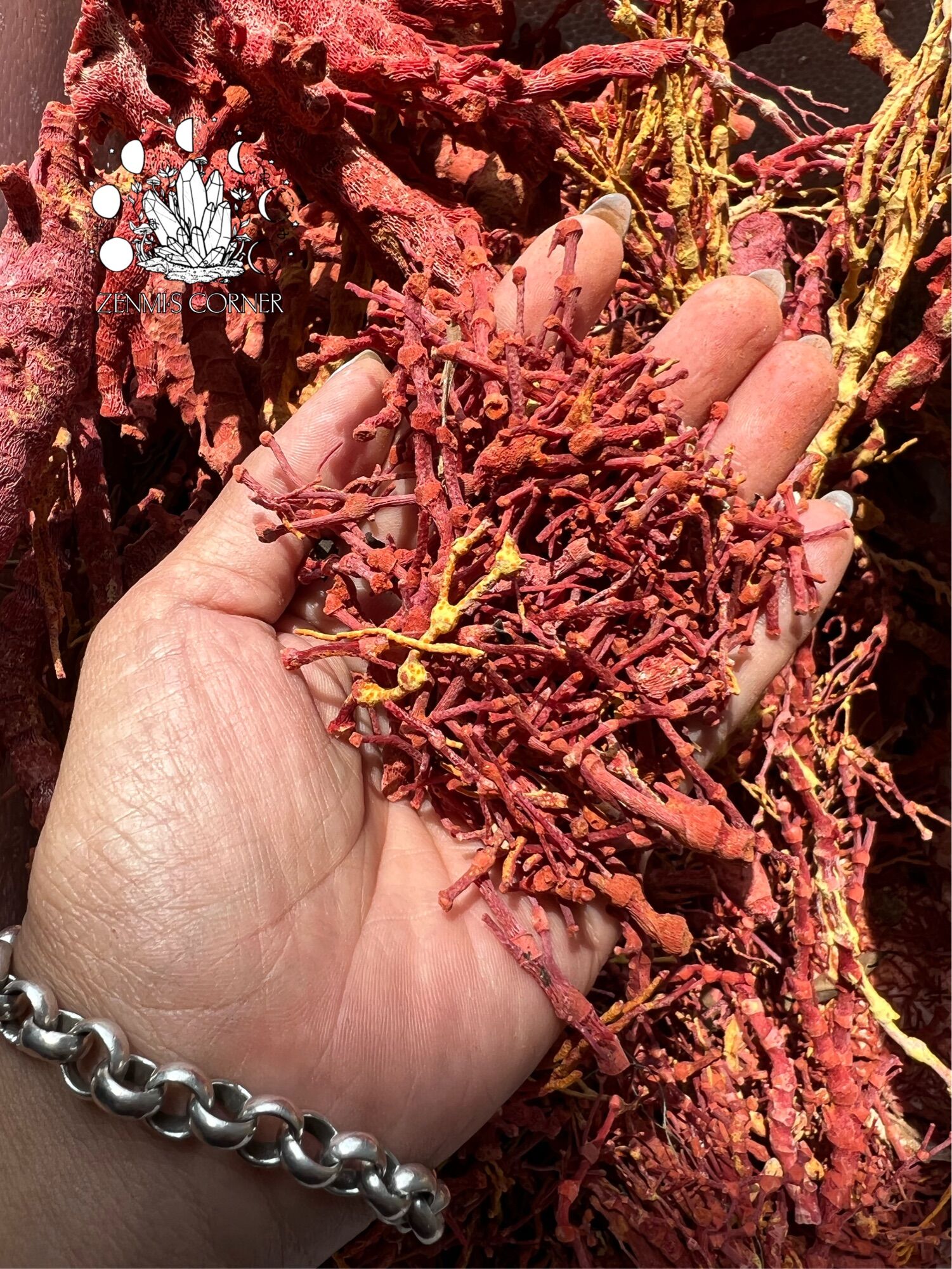 RED CORAL - 100g San Hô Đỏ Tự Nhiên