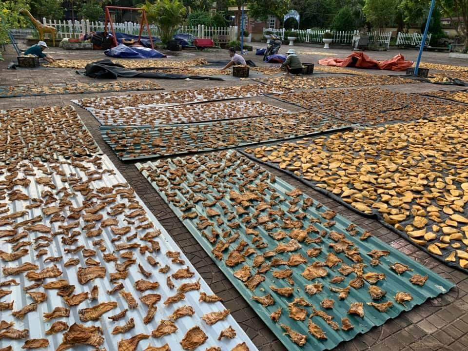 MĂNG VẦU(BẸ) ĐIỆN BIÊN 3 SẠCH 200G