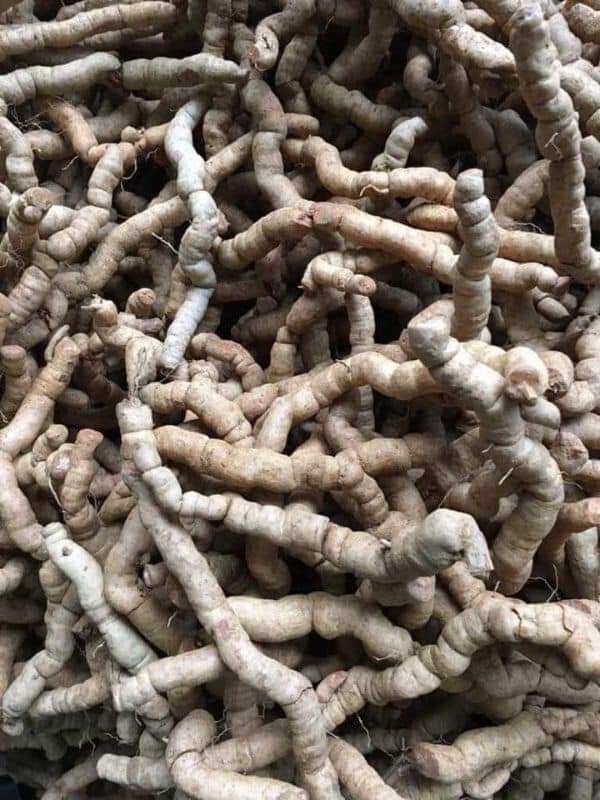 1kg ba kích tím Quảng Ninh hàng A1 đã tách lõi hút chân không