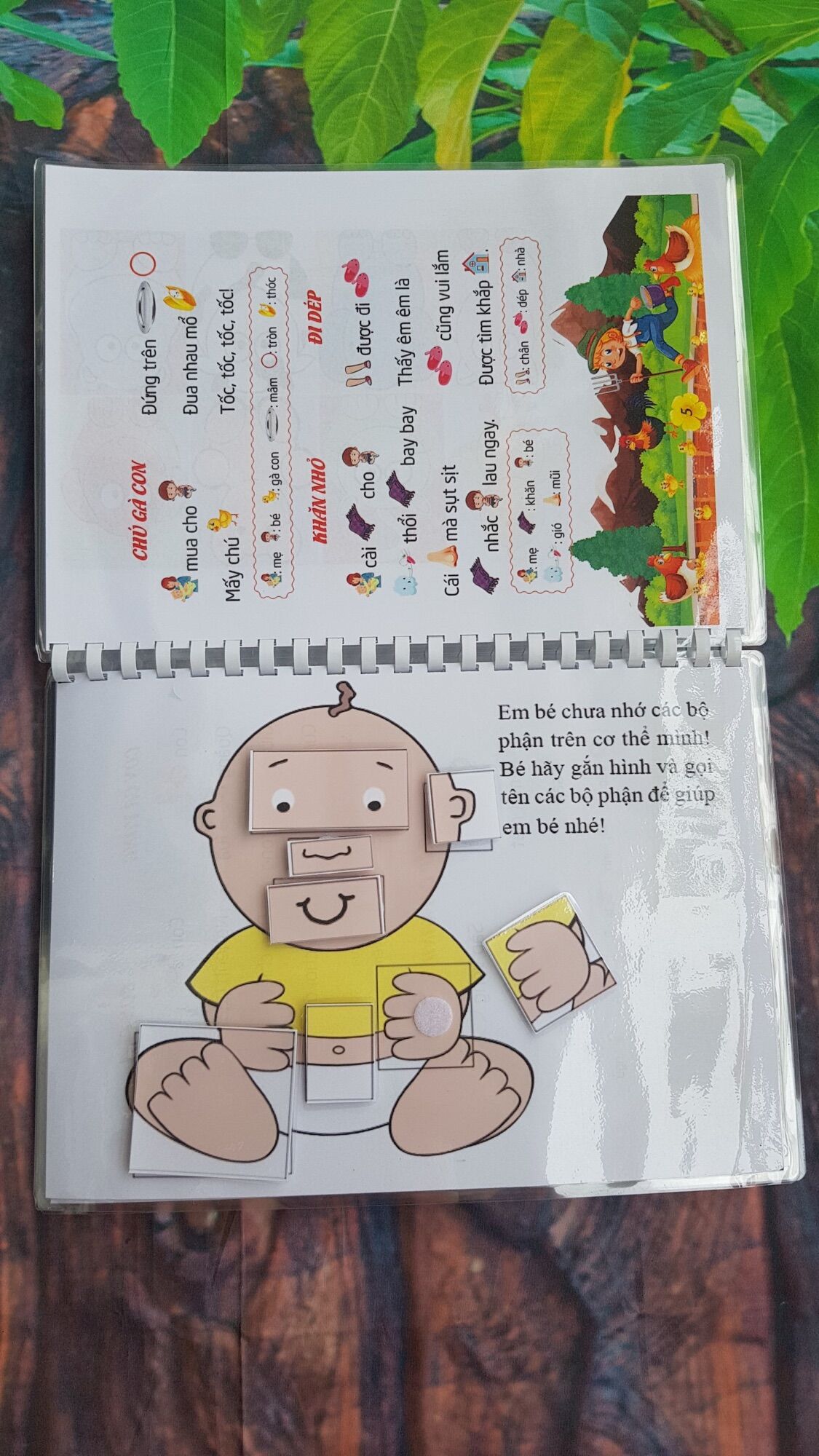 Học liệu bóc dán 2in1