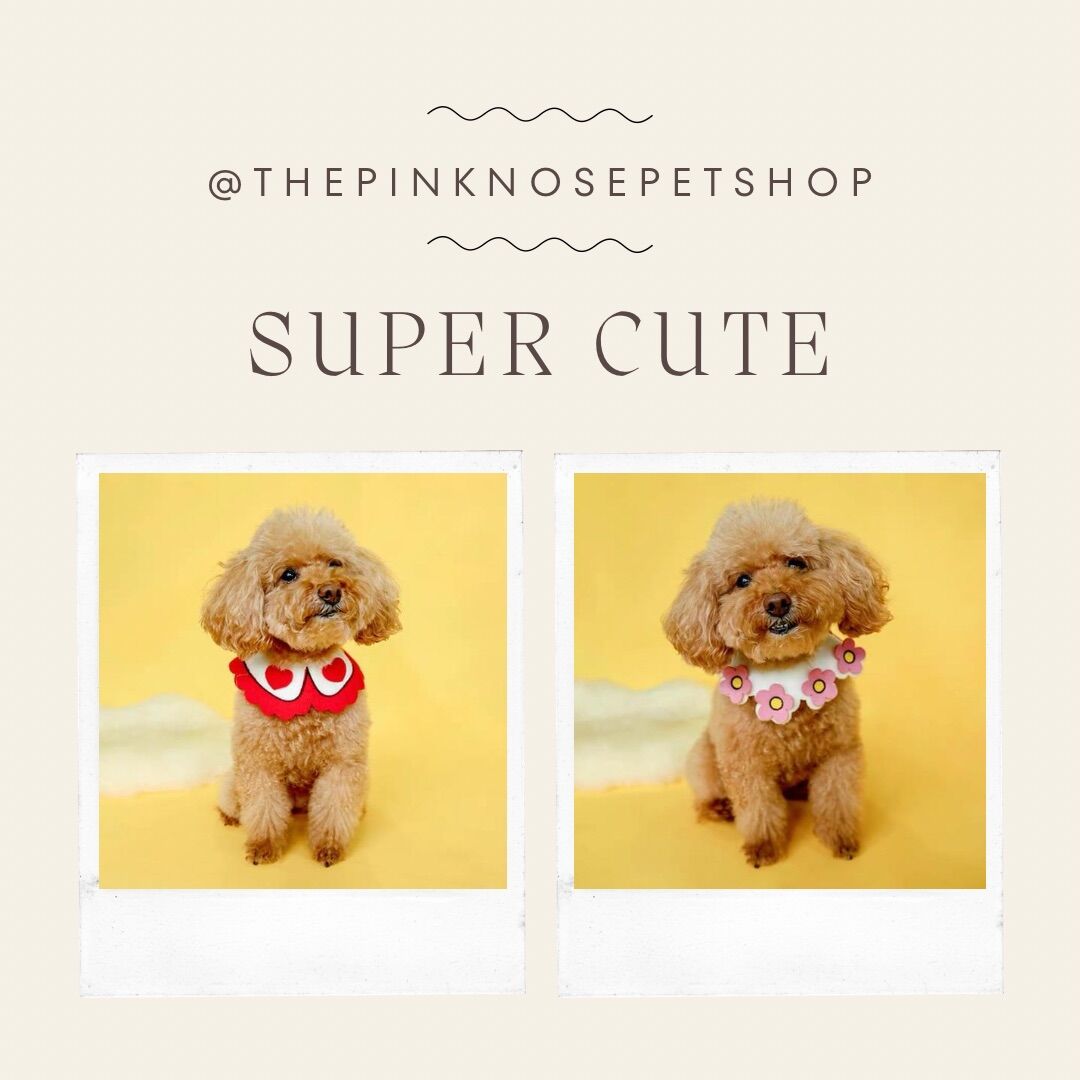 ✨✨ Yếm đeo cổ cho chó mèo cute ✨✨
