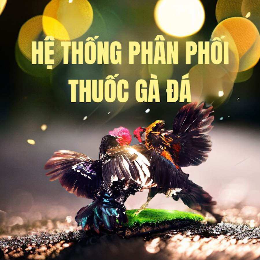 NGHỆ BỘT ĐỎ NGUYÊN CHẤT CHO GÀ ĐÁ