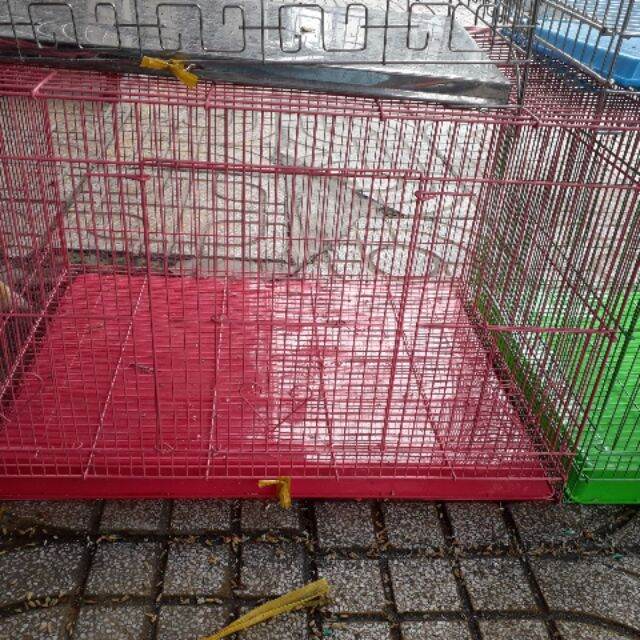 Lồng chứa chim, chó, mèo, tắc kè, v.v....