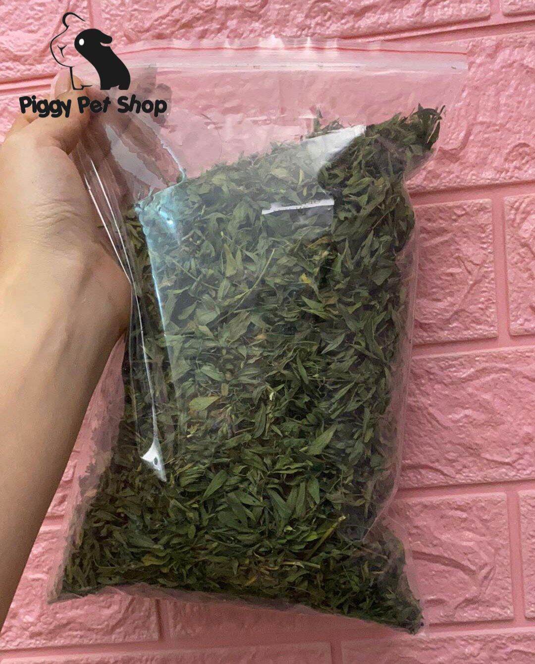 Alfalfa nguyên lá cho Guinea pig, thỏ (bọ, ú, lang) cho baby tập ăn