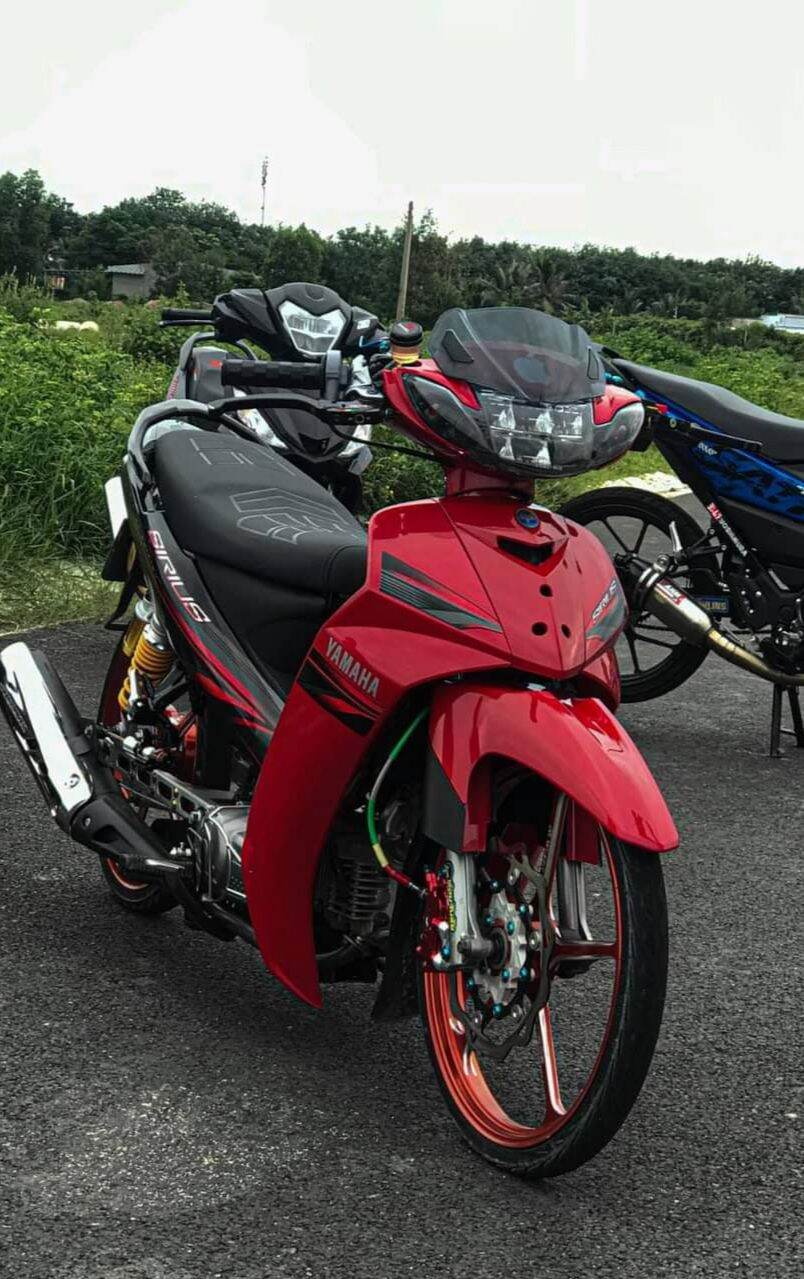 Tem rời sirius đỏ đen