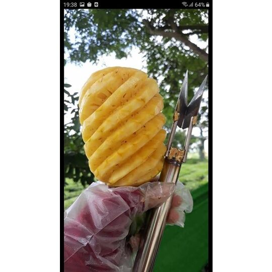 Dao lấy mắt khóm