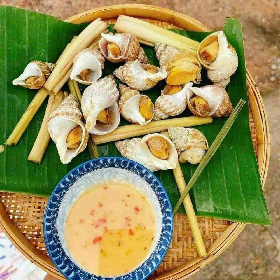 1kg ỐC BULOT PHÁP (size 30-50con)
