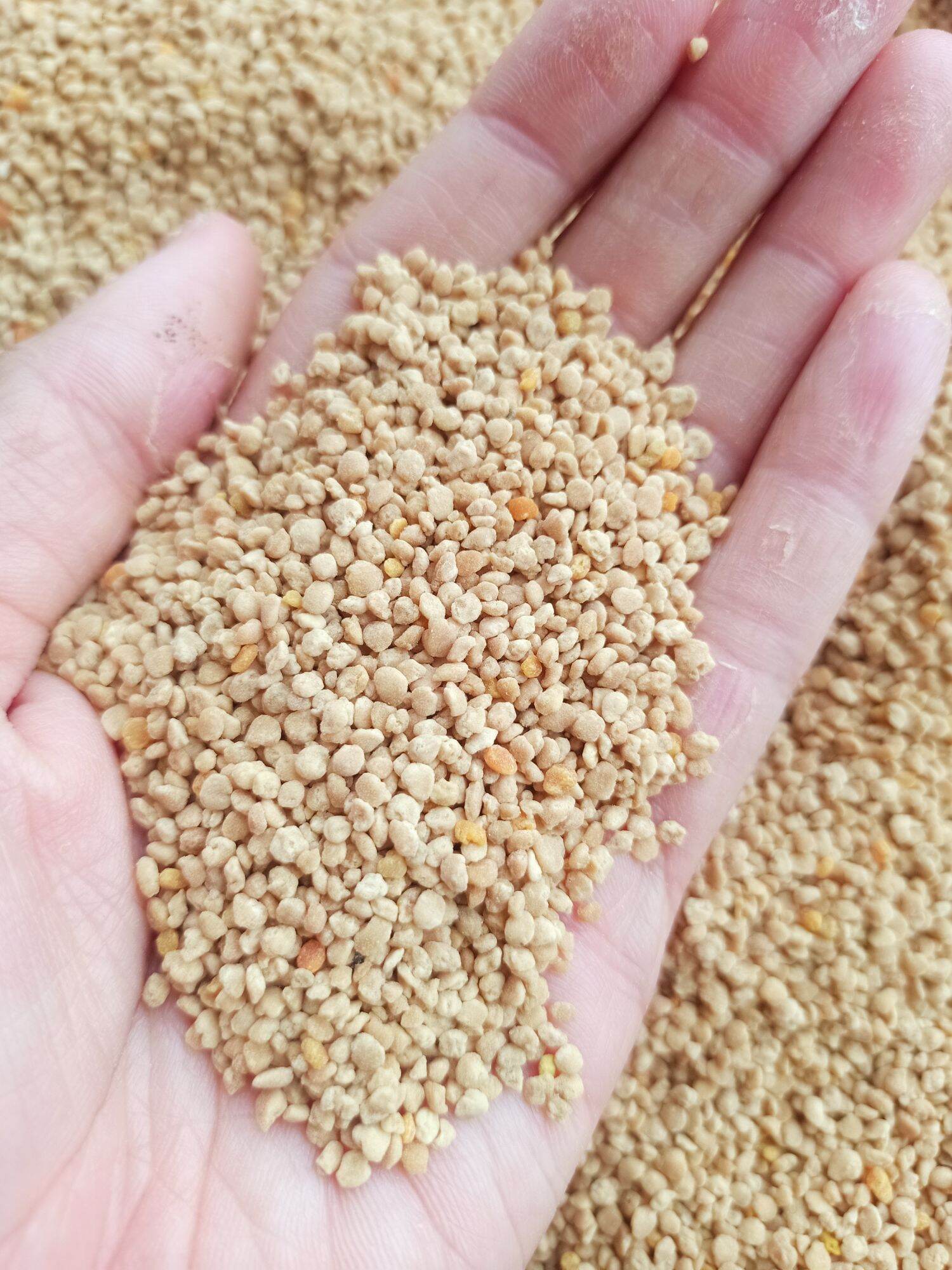 Phấn hoa mật ong hoa cà phê (1kg)