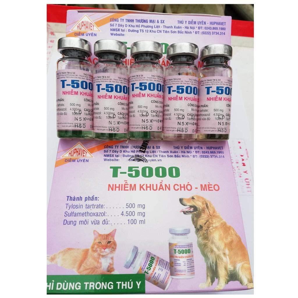 T5000 nhiễm khuẩn đường hô hấp và tiêu hoá ở chó mèo lọ 10ml