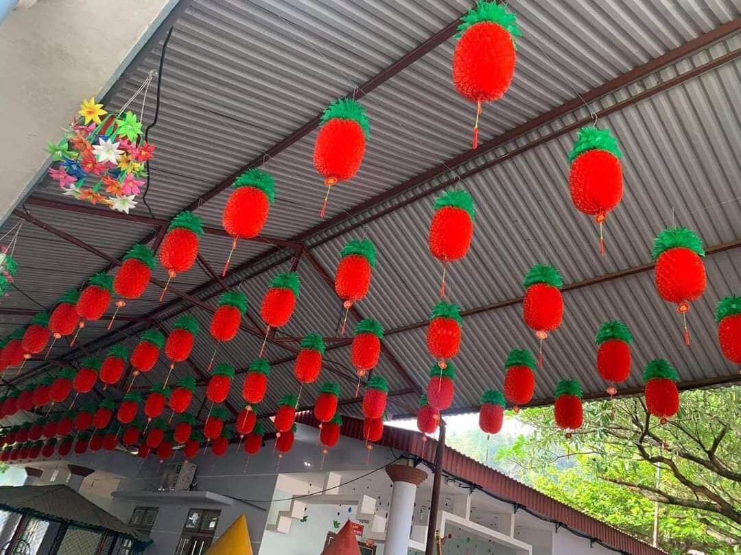Đèn lồng quả dứa nilon xếp màu đỏ