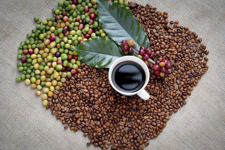 Cà phê nguyên hạt và Cà phê rang xay Highlands Coffee