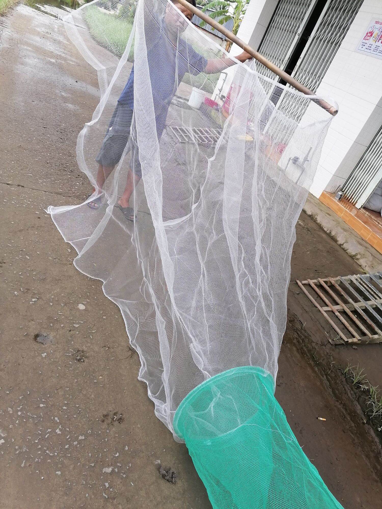 Dớn Trắng Bắt Cá ( ĐK 48cm ,3 hôm )