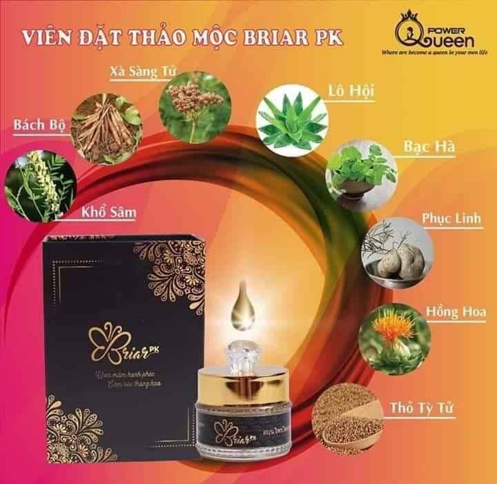 Hộp 10 viên đặt thảo mộc se khít Briar ( chính hãng)