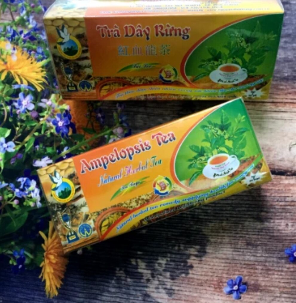 TRÀ DÂY RỪNG TÚI LỌC ( 50 TÚI LỌC) HỖ TRỢ DẠ DÀY
