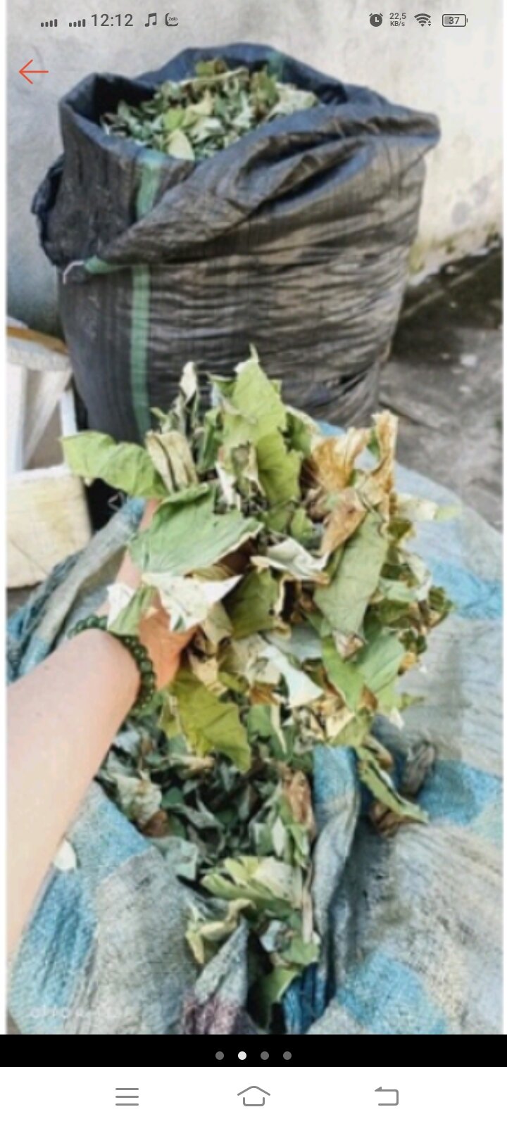 1kg lá sen khô